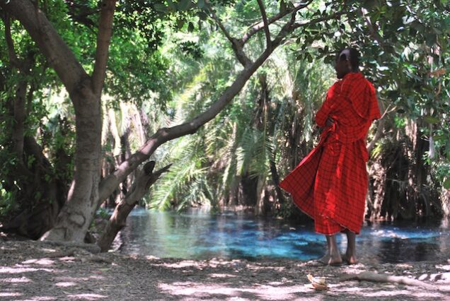 Chemka Hot Springs Day Trip From Moshi & Arusha - Amkia Africa Adventures